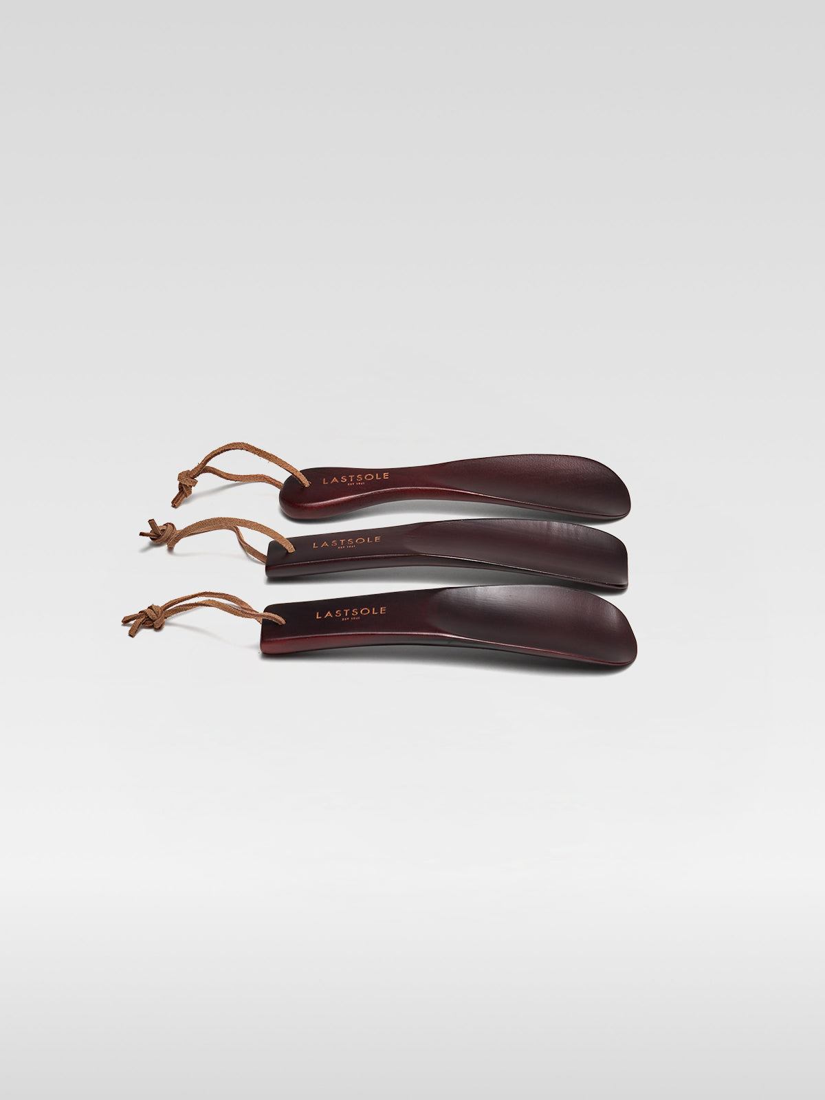 SHOE HORN